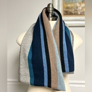 Express Men’s 100% Lambswool Scarf Preppy Color block Collegiate Stripe Long OS